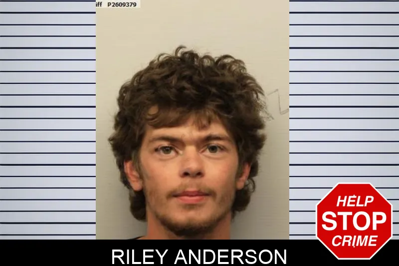 Riley Anderson mugshot – Chatham County , Georgia Riley Anderson mugshot