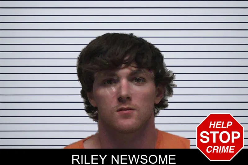 Riley Newsome mugshot – Laurens County , Georgia Riley Newsome mugshot