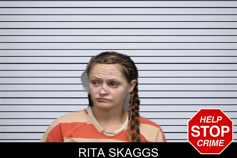 Rita Skaggs mugshot – White County , Georgia Rita Skaggs mugshot