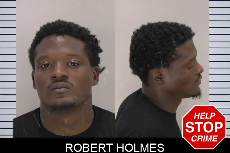 Robert Holmes mugshot