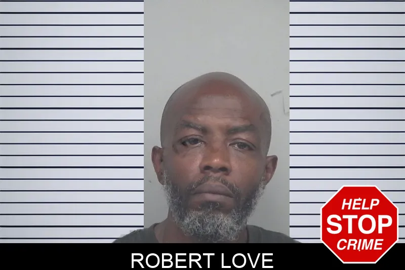 Robert Love mugshot – Gwinnett County , Georgia Robert Love mugshot