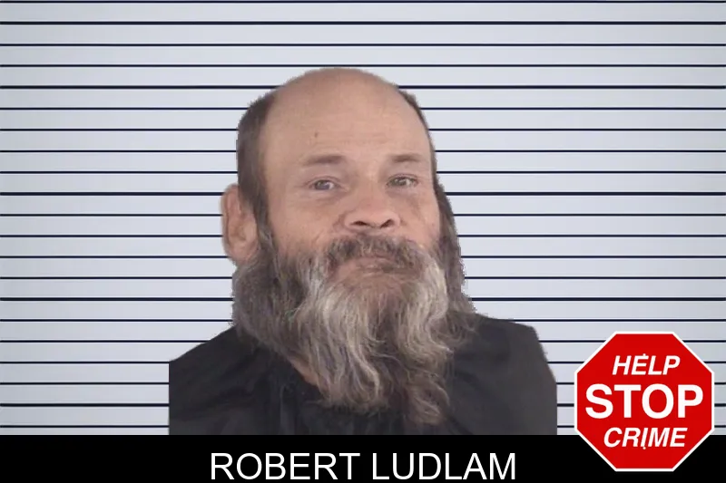 Robert Ludlam mugshot