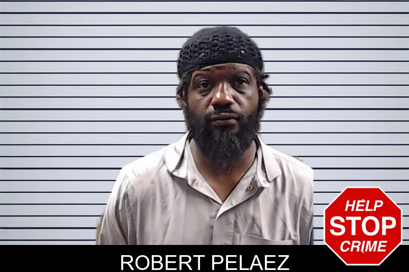 Robert Pelaez mugshot – DeKalb County , Georgia Robert Pelaez mugshot