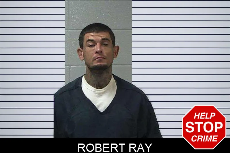 Robert Ray mugshot