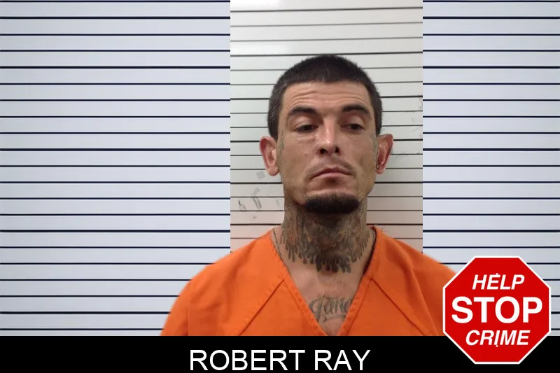 Robert Ray mugshot