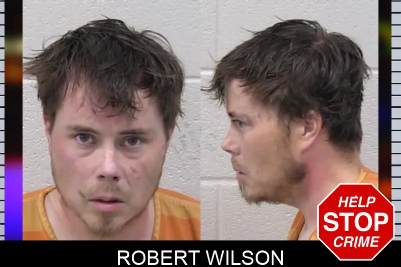 Robert Wilson mugshot – Paulding County , Georgia Robert Wilson mugshot