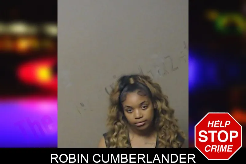 Robin Cumberlander mugshot – DeKalb County , Georgia Robin Cumberlander mugshot