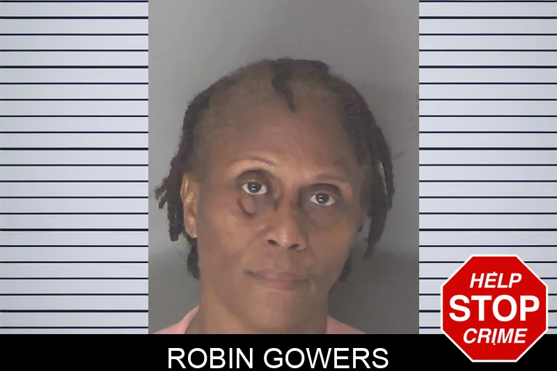 Robin Gowers mugshot – Douglas County , Georgia Robin Gowers mugshot
