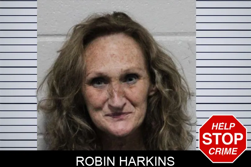 Robin Harkins mugshot – Habersham County , Georgia Robin Harkins mugshot