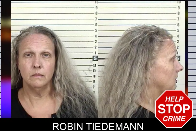 Robin Tiedemann mugshot – Camden County , Georgia Robin Tiedemann mugshot