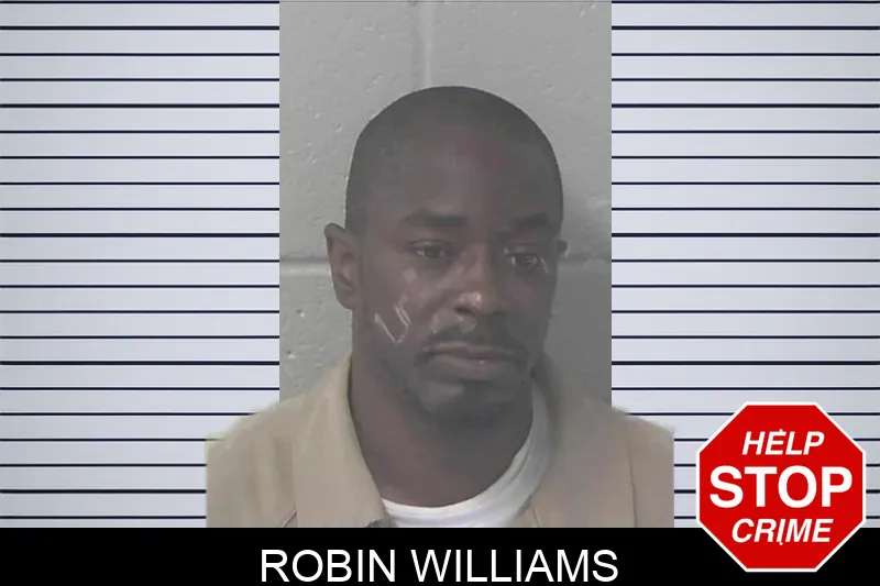 Robin Williams mugshot