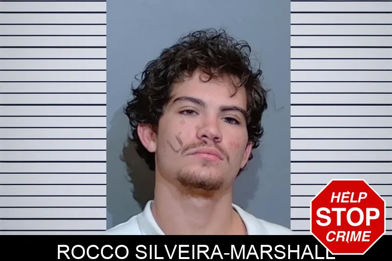 Rocco Silveira-Marshall mugshot – Glynn County , Georgia Rocco Silveira-Marshall mugshot