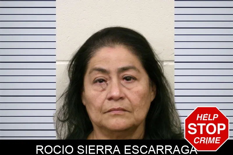 Rocio Sierra Escarraga mugshot – Bulloch County , Georgia Rocio Sierra Escarraga mugshot
