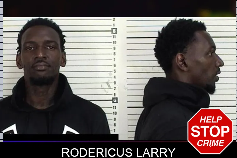 Rodericus Larry mugshot – Camden County , Georgia Rodericus Larry mugshot