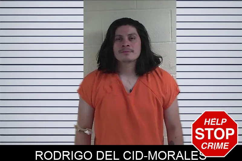 Rodrigo Del Cid-Morales mugshot – Fannin County , Georgia Rodrigo Del Cid-Morales mugshot