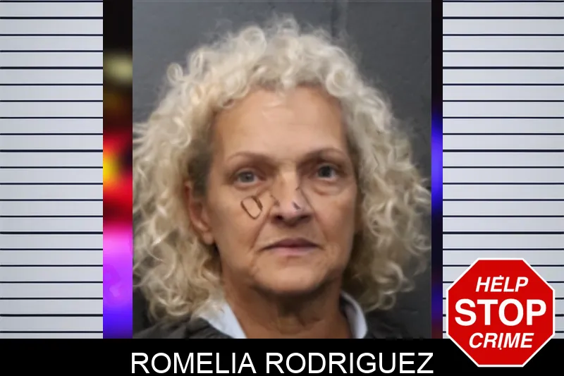 Romelia Rodriguez mugshot – Forsyth County , Georgia Romelia Rodriguez mugshot