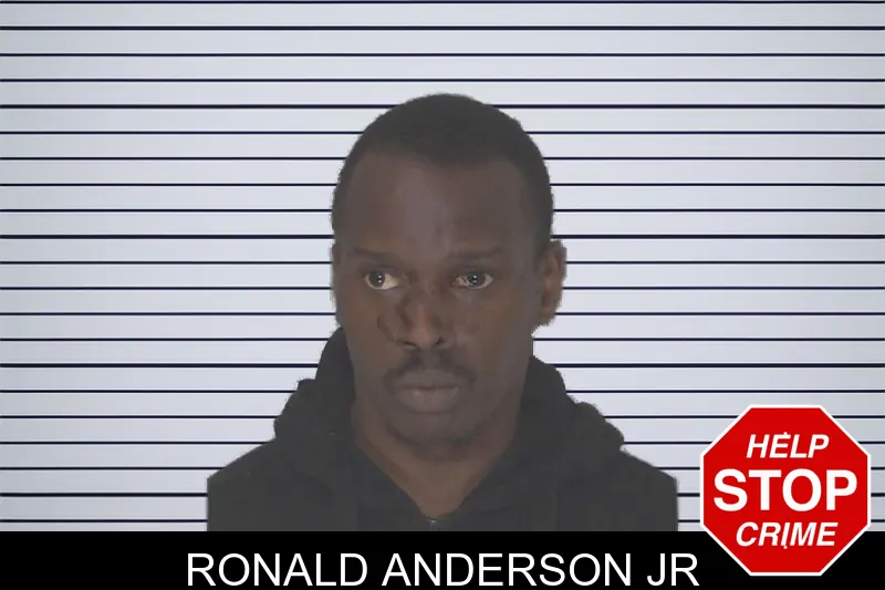Ronald Anderson Jr mugshot