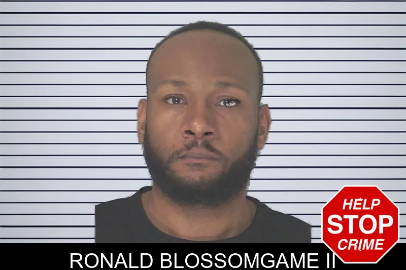 Ronald Blossomgame II mugshot – Douglas County , Georgia Ronald Blossomgame II mugshot