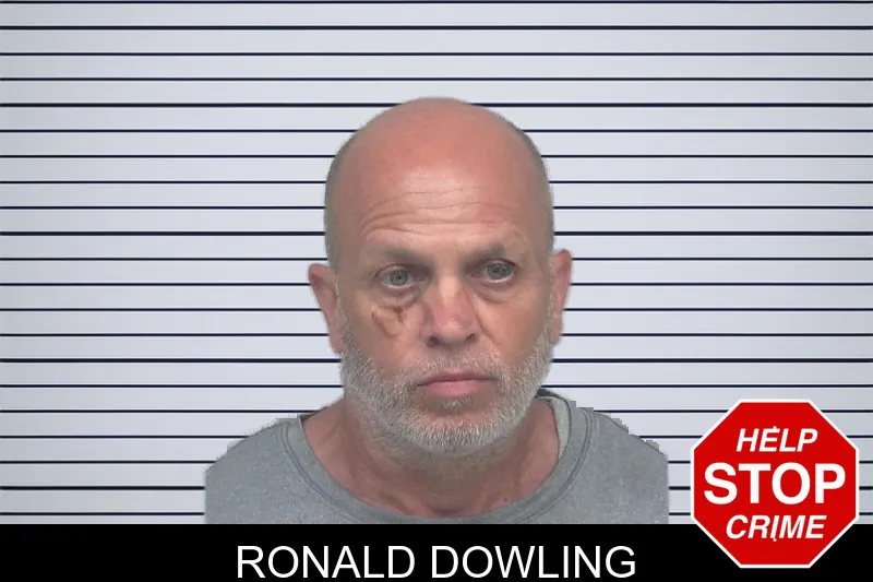 Ronald Dowling mugshot – Gwinnett County , Georgia Ronald Dowling mugshot