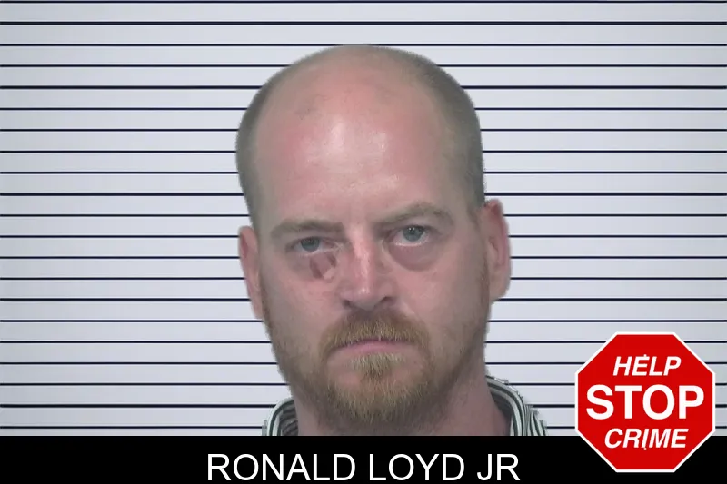 Ronald Loyd Jr mugshot