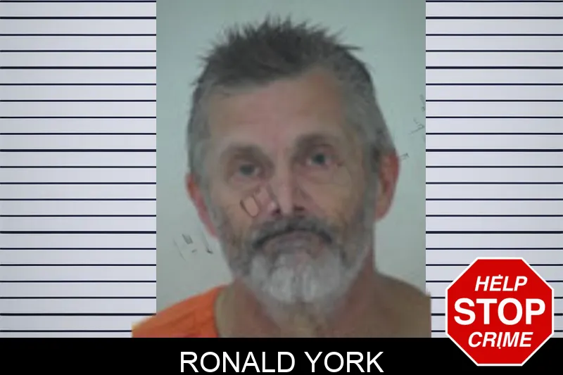 Ronald York mugshot – Fayette County , Georgia Ronald York mugshot