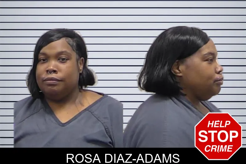 Rosa Diaz-Adams mugshot