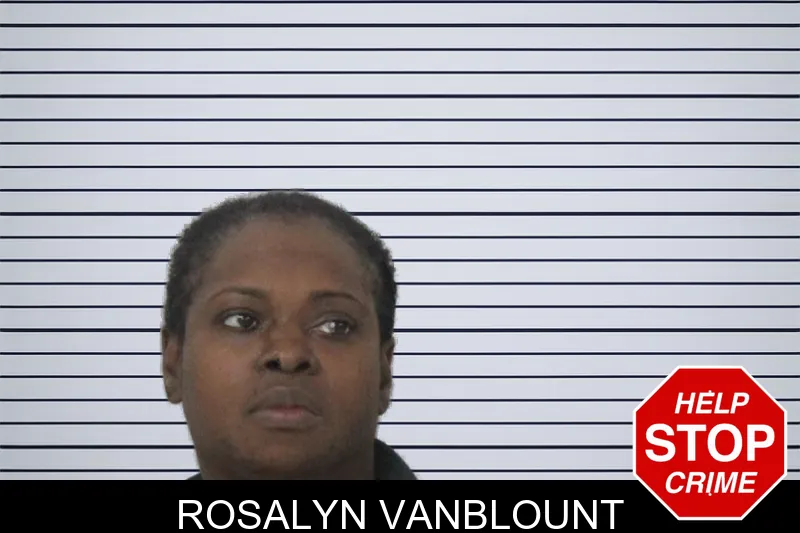 Rosalyn Vanblount mugshot – Mcintosh County , Georgia Rosalyn Vanblount mugshot