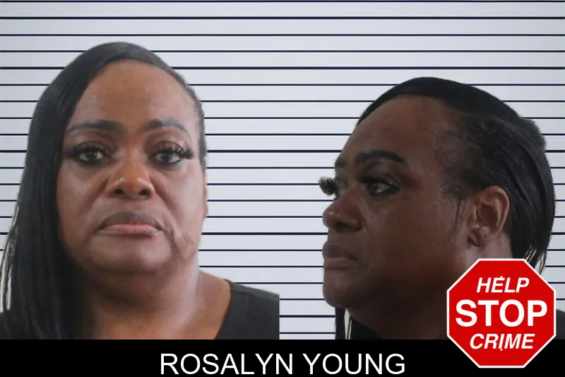 Rosalyn Young mugshot – Houston County , Georgia Rosalyn Young mugshot