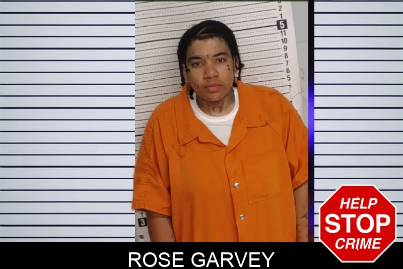 Rose Garvey mugshot – Rockdale County , Georgia Rose Garvey mugshot