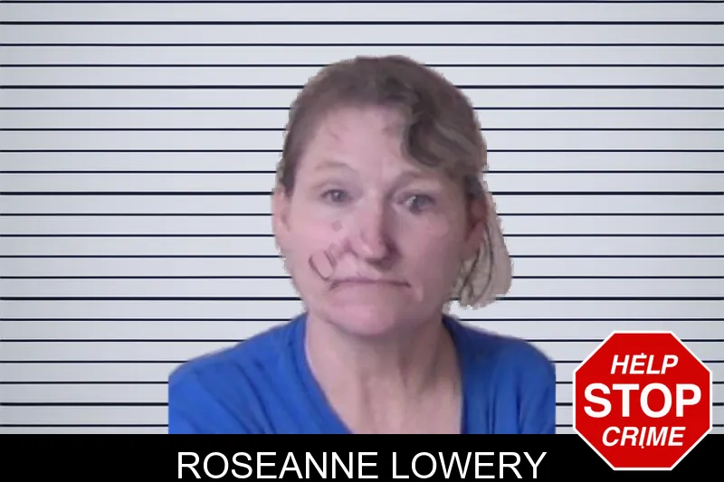 Roseanne Lowery mugshot – Walker County , Georgia Roseanne Lowery mugshot