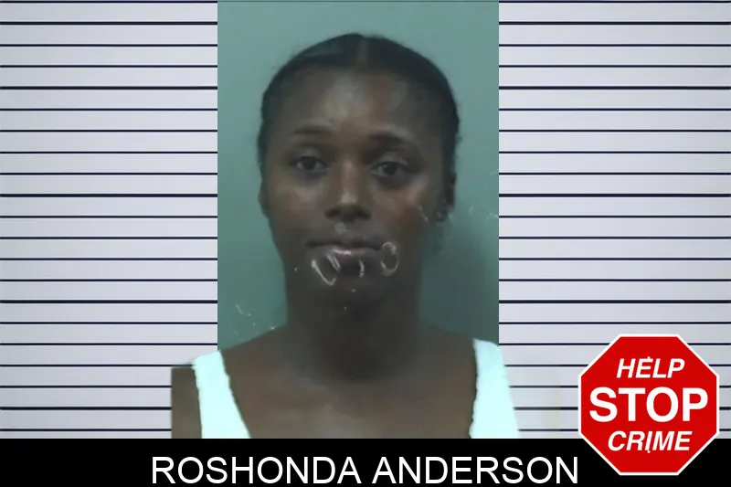 Roshonda Anderson mugshot – Bleckley County , Georgia Roshonda Anderson mugshot