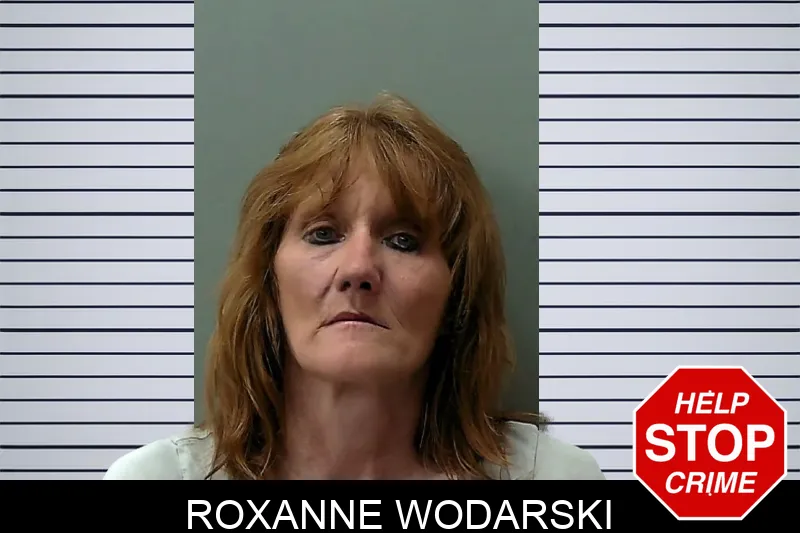 Roxanne Wodarski mugshot – Towns County , Georgia Roxanne Wodarski mugshot