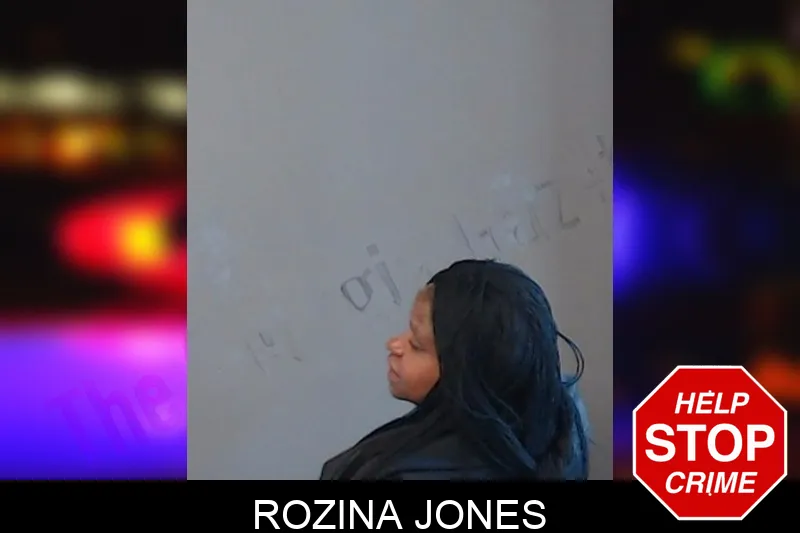 Rozina Jones mugshot – DeKalb County , Georgia Rozina Jones mugshot