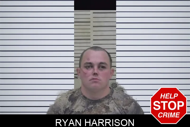Ryan Harrison mugshot