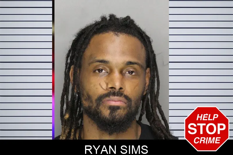 Ryan Sims mugshot