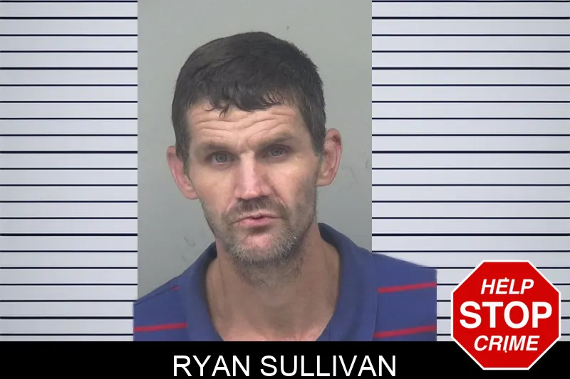 Ryan Sullivan mugshot – Gwinnett County , Georgia Ryan Sullivan mugshot