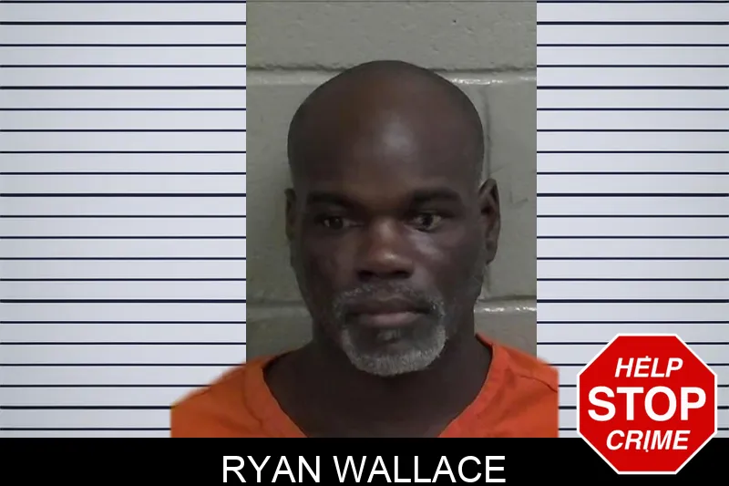 Ryan Wallace mugshot – Wayne County , Georgia Ryan Wallace mugshot