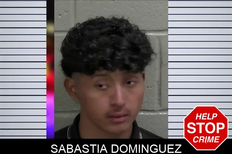 Sabastia Dominguez mugshot