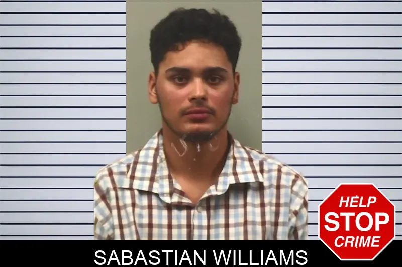 Sabastian Williams mugshot – Bleckley County , Georgia Sabastian Williams mugshot