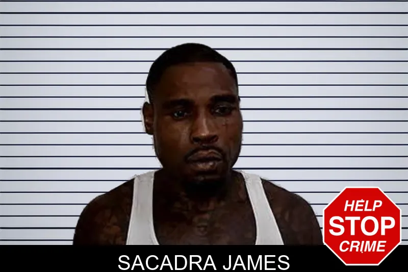 Sacadra James mugshot – Decatur County , Georgia Sacadra James mugshot