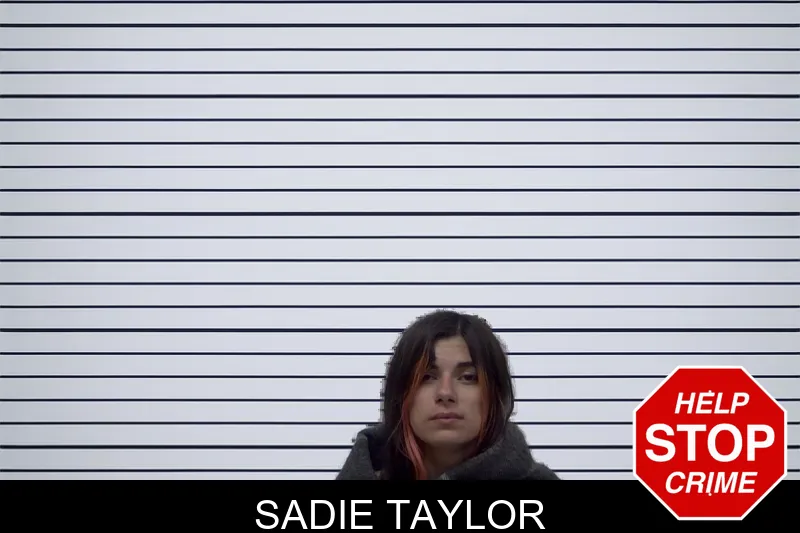 Sadie Taylor mugshot – Irwin County , Georgia Sadie Taylor mugshot