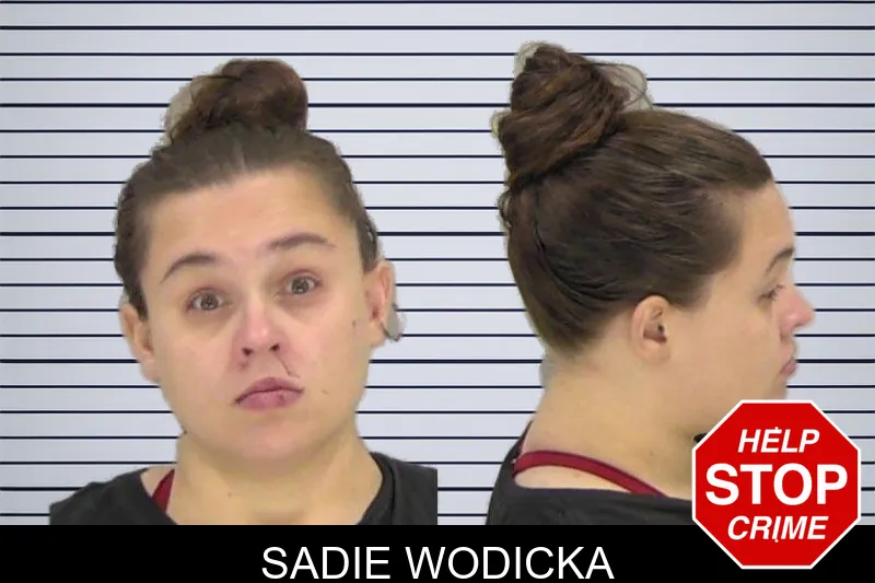 Sadie Wodicka mugshot