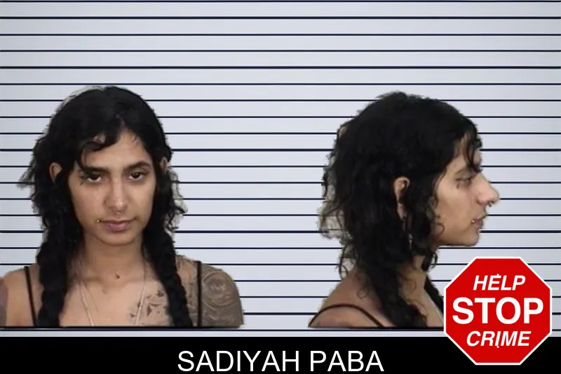 Sadiyah Paba mugshot – Camden County , Georgia Sadiyah Paba mugshot