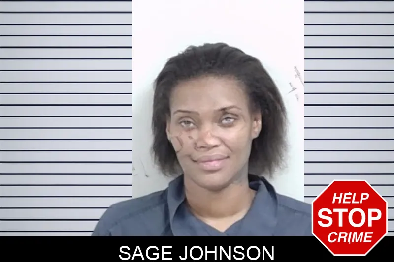Sage Johnson mugshot – Lowndes County , Georgia Sage Johnson mugshot