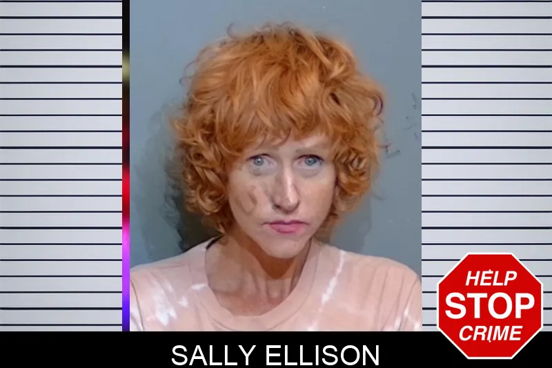 Sally Ellison mugshot