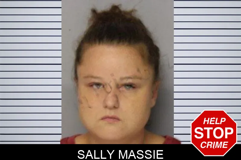 Sally Massie mugshot – Hall County , Georgia Sally Massie mugshot