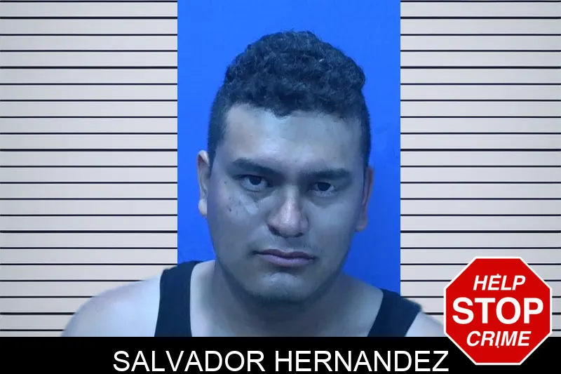 Salvador Hernandez mugshot – Troup County , Georgia Salvador Hernandez mugshot