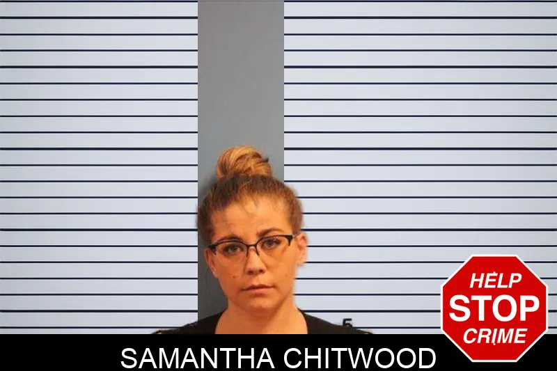 Samantha Chitwood mugshot – Monroe County , Georgia Samantha Chitwood mugshot