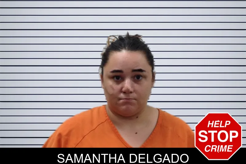Samantha Delgado mugshot – Pickens County , Georgia Samantha Delgado mugshot