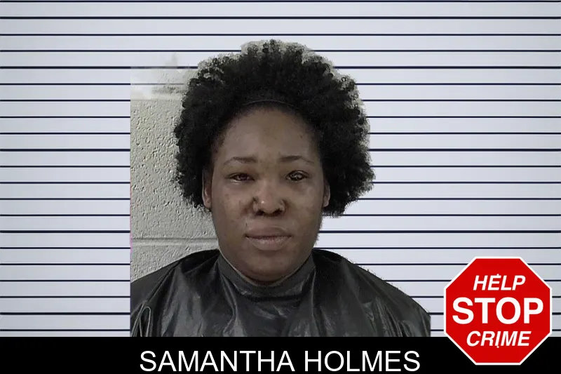 Samantha Holmes mugshot – Elbert County , Georgia Samantha Holmes mugshot